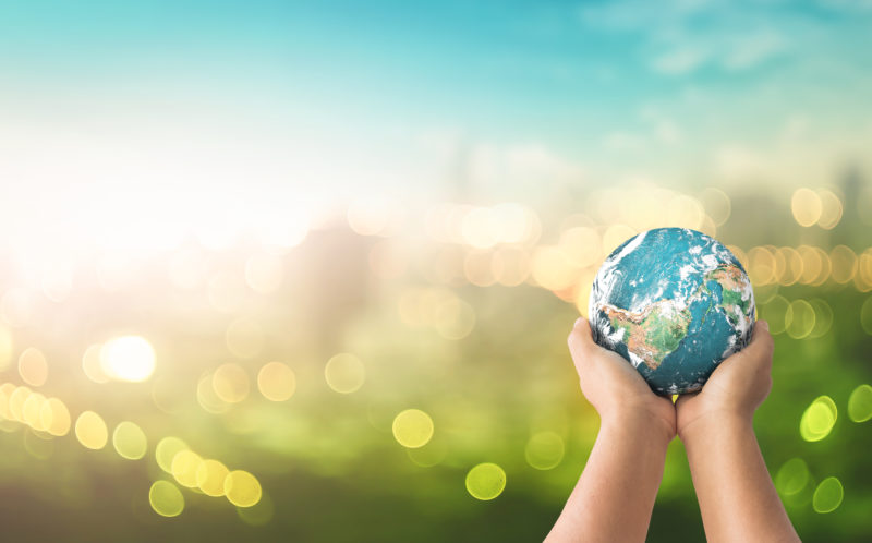 Header - Hands holding earth