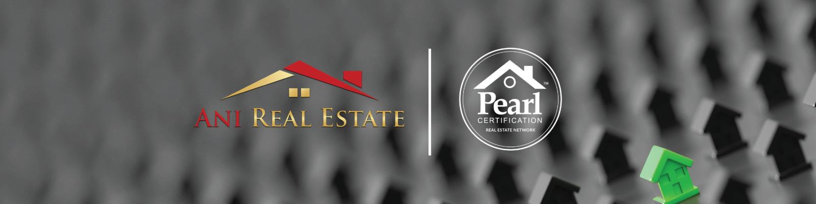 Pearl Certification partners with Ani Real Estate.